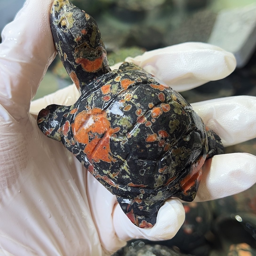 朵***萌梅花玉鱼缸石茶周边不退不换