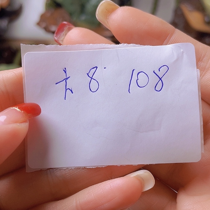 未镶嵌岫岩河磨玉（透闪石质玉）把件?**L