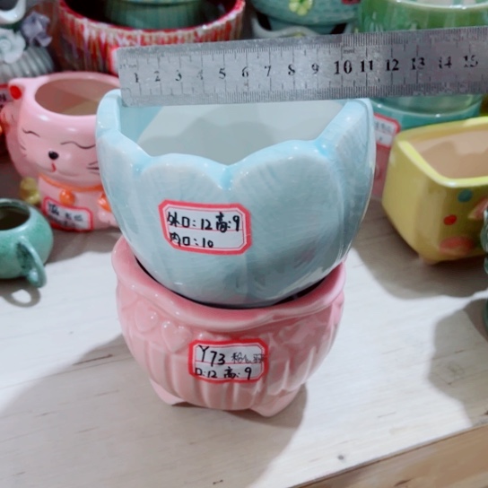 红陶1111111111111111