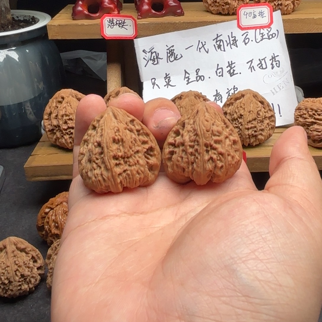 张***驴核桃涿鹿南疆一代