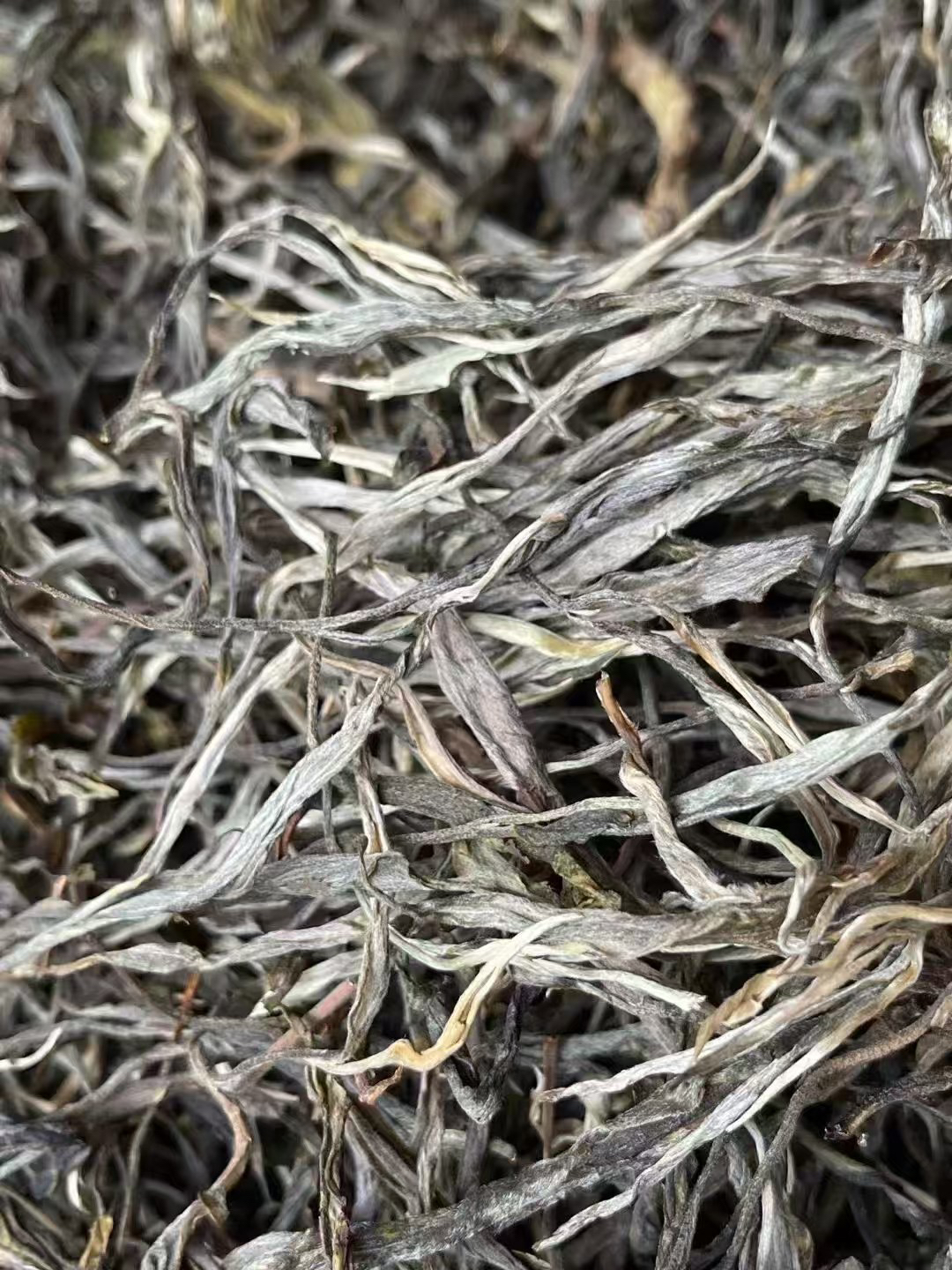 2019年弯弓200g生茶（包白棉）