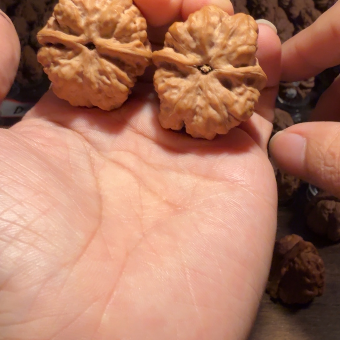 涵***斌文玩核桃把件蛤蟆的眼睛是真的