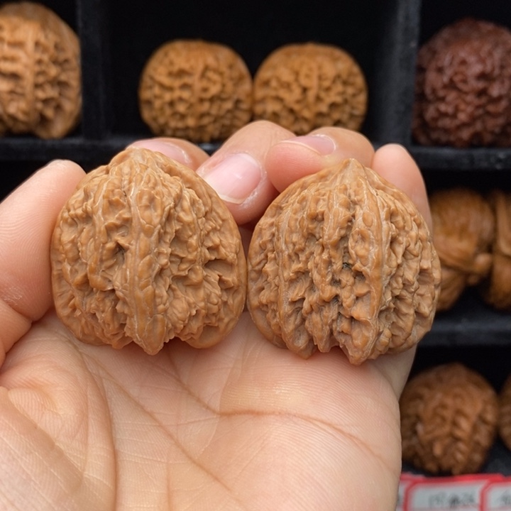****核桃密纹狮子头47尺全品