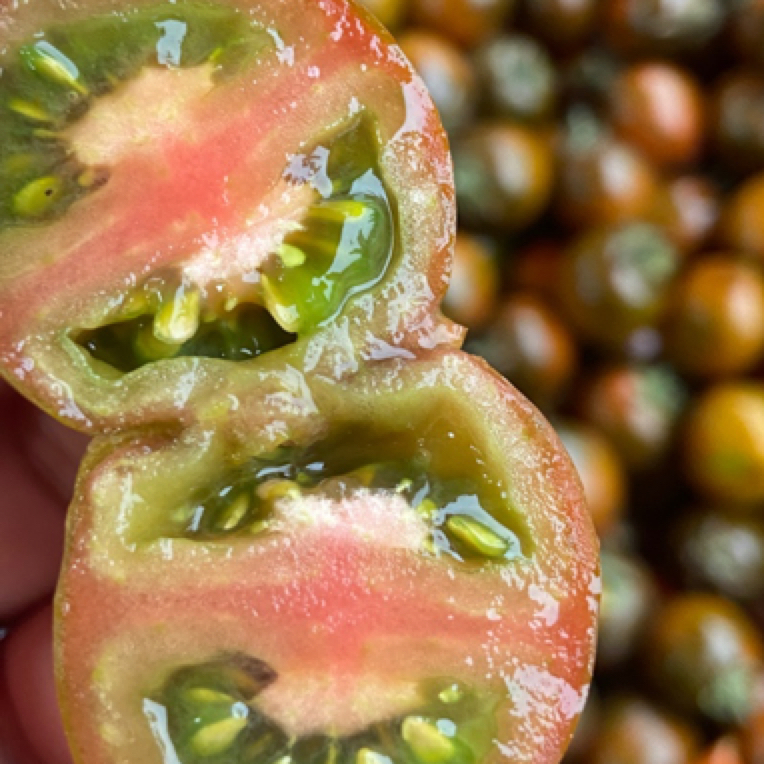 云南 黑珍珠5斤/10斤小番茄云南省