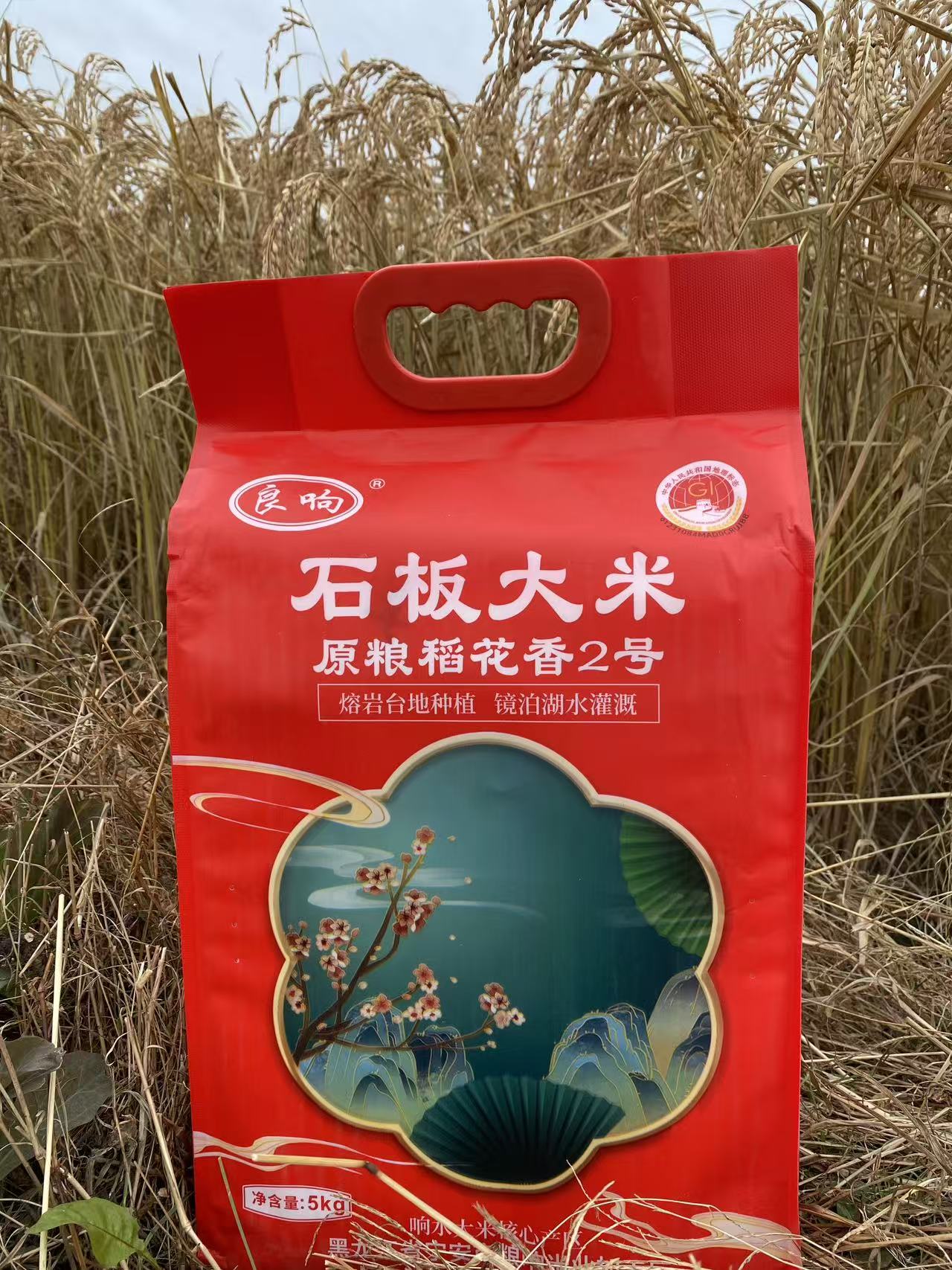 石板大米2025新米稻花香2号5kg一袋