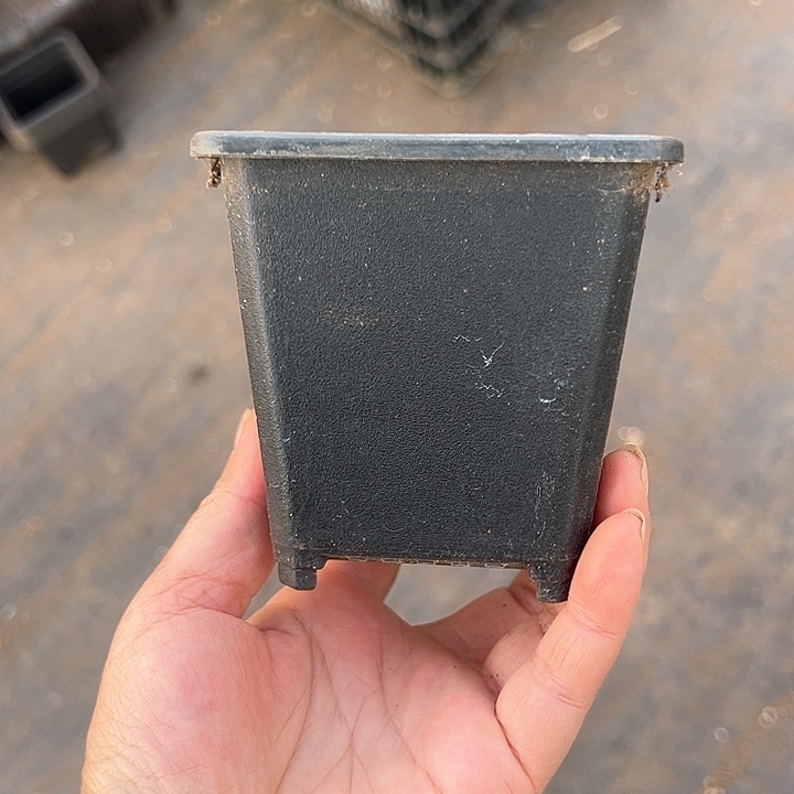 塑料口径8.5 黑方一组30个