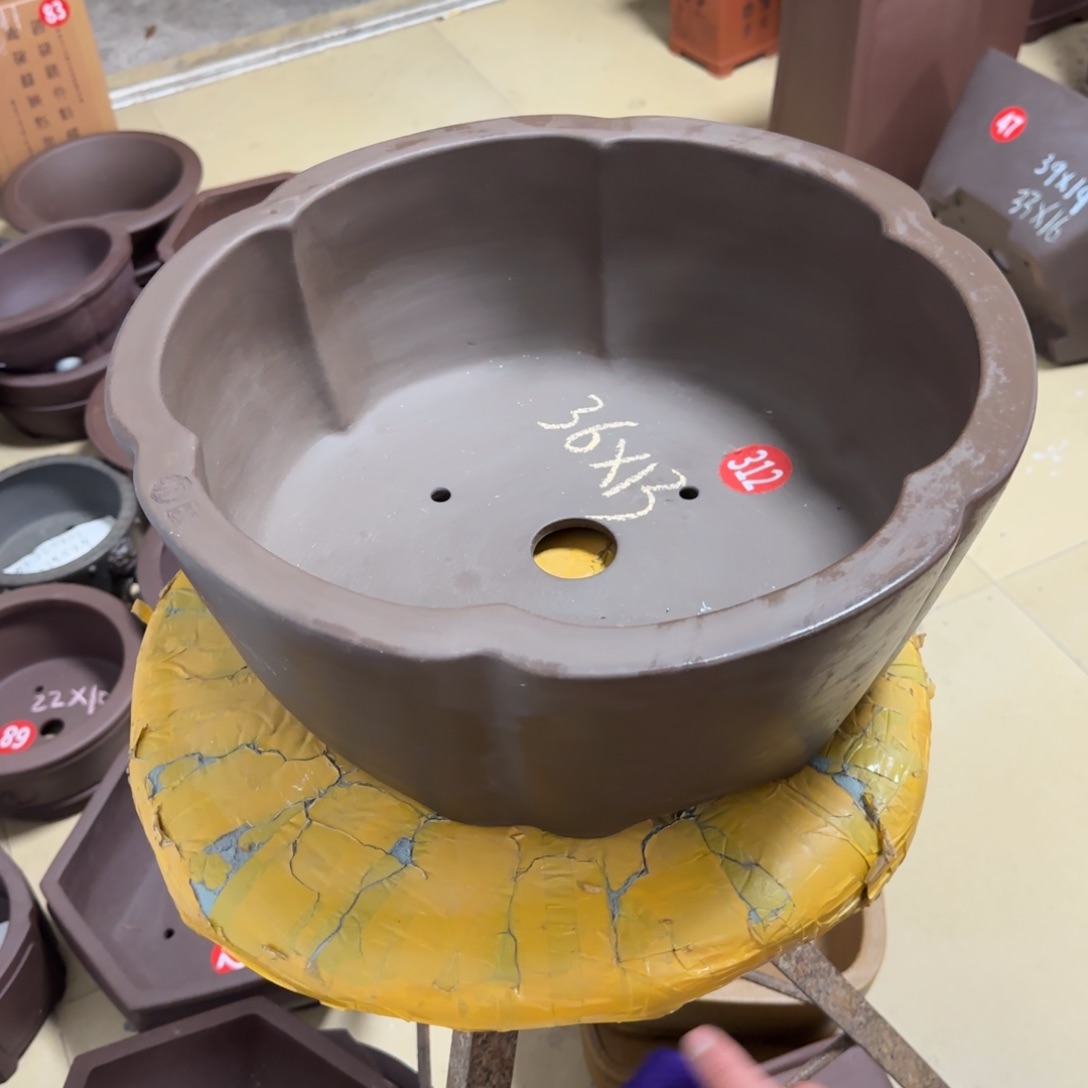 紫砂花盆呜呜呜呜