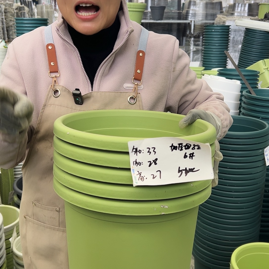 四季盆6#果绿色5个无托