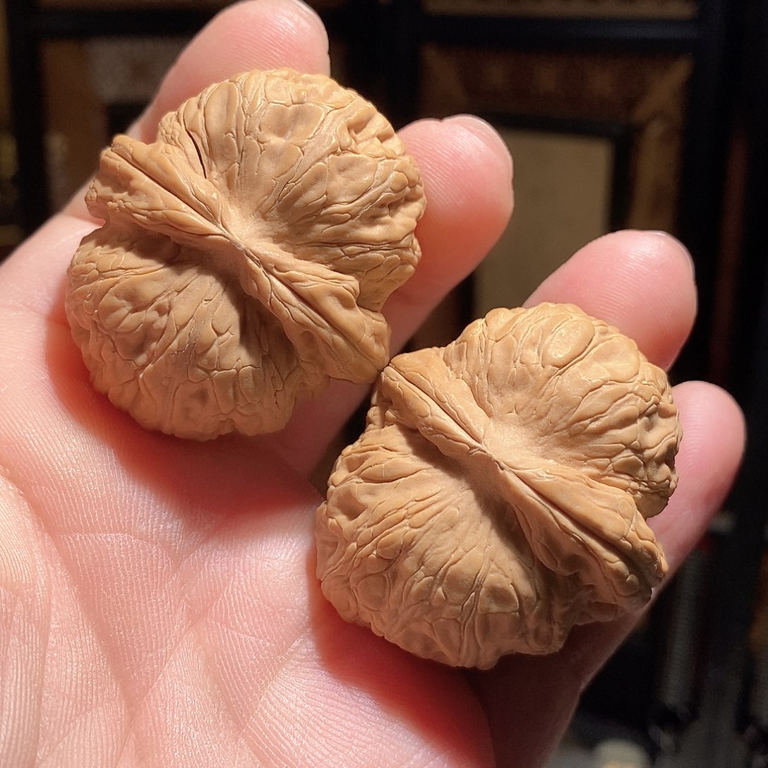 文玩核桃把件43元宝全品