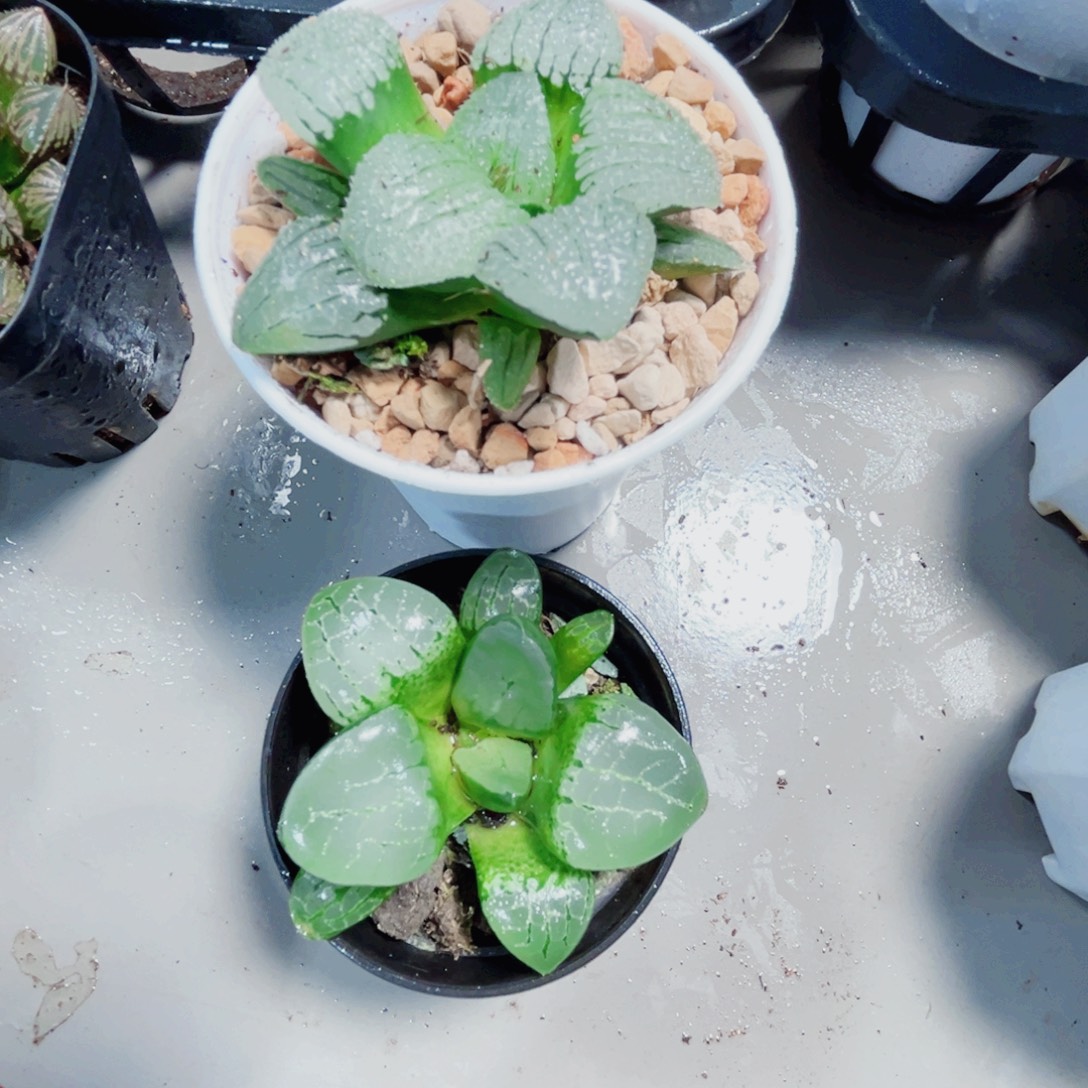 天空之镜和水晶克