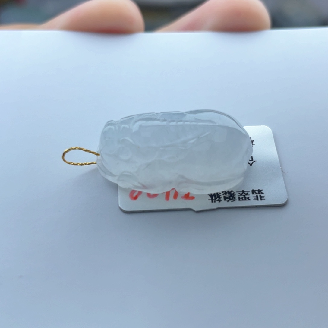颈饰未镶嵌翡翠貔貅