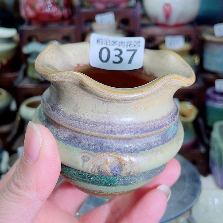 狼盆内口径5高度6