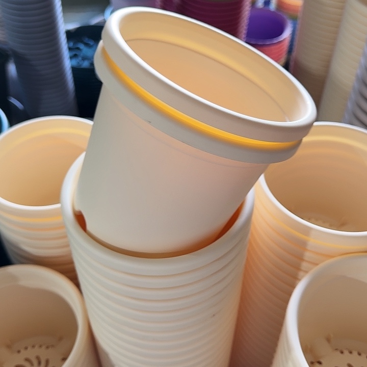 四季2#米黄10个无托