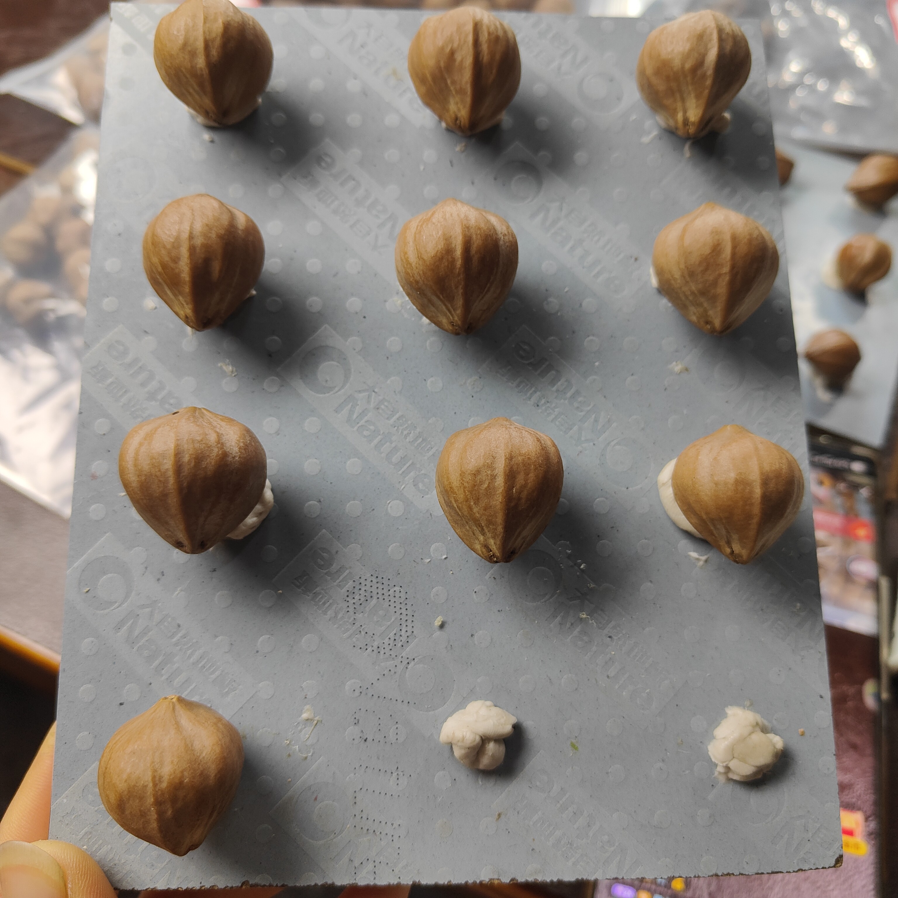 核铁老籽四花2.1规格