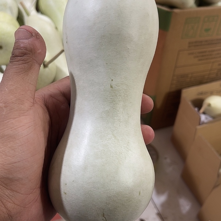 非洲紫檀（红花梨）军*