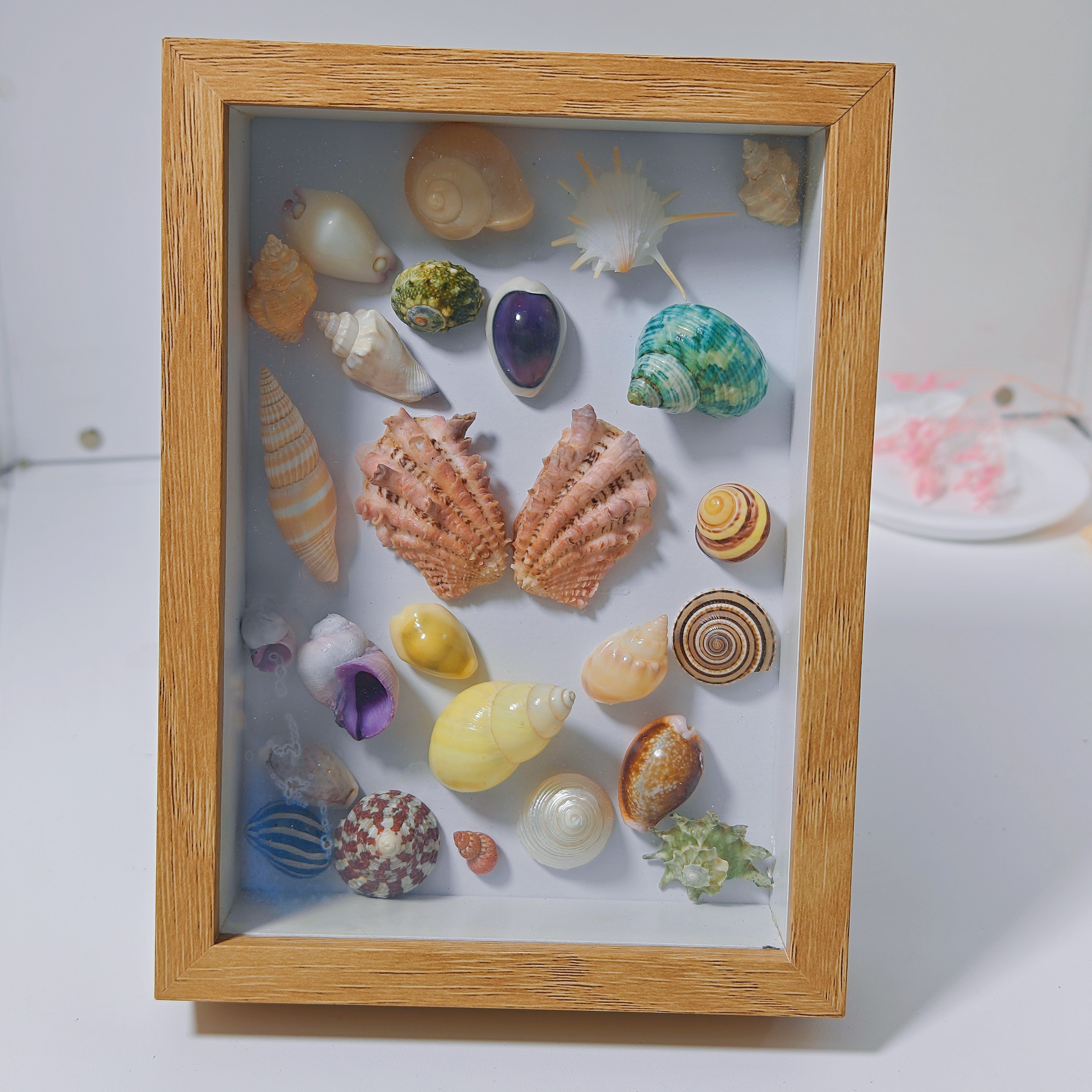 天然海螺贝壳自制Diy成品相框(17*14cm)家居摆件儿童礼物可立摆