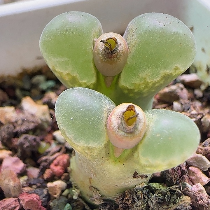 哈哈哈哈哈哈哈哈哈。 832