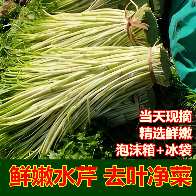 【农家新鲜水芹菜】蔬菜生态野水芹菜去叶净菜小叶水芹菜无节水芹