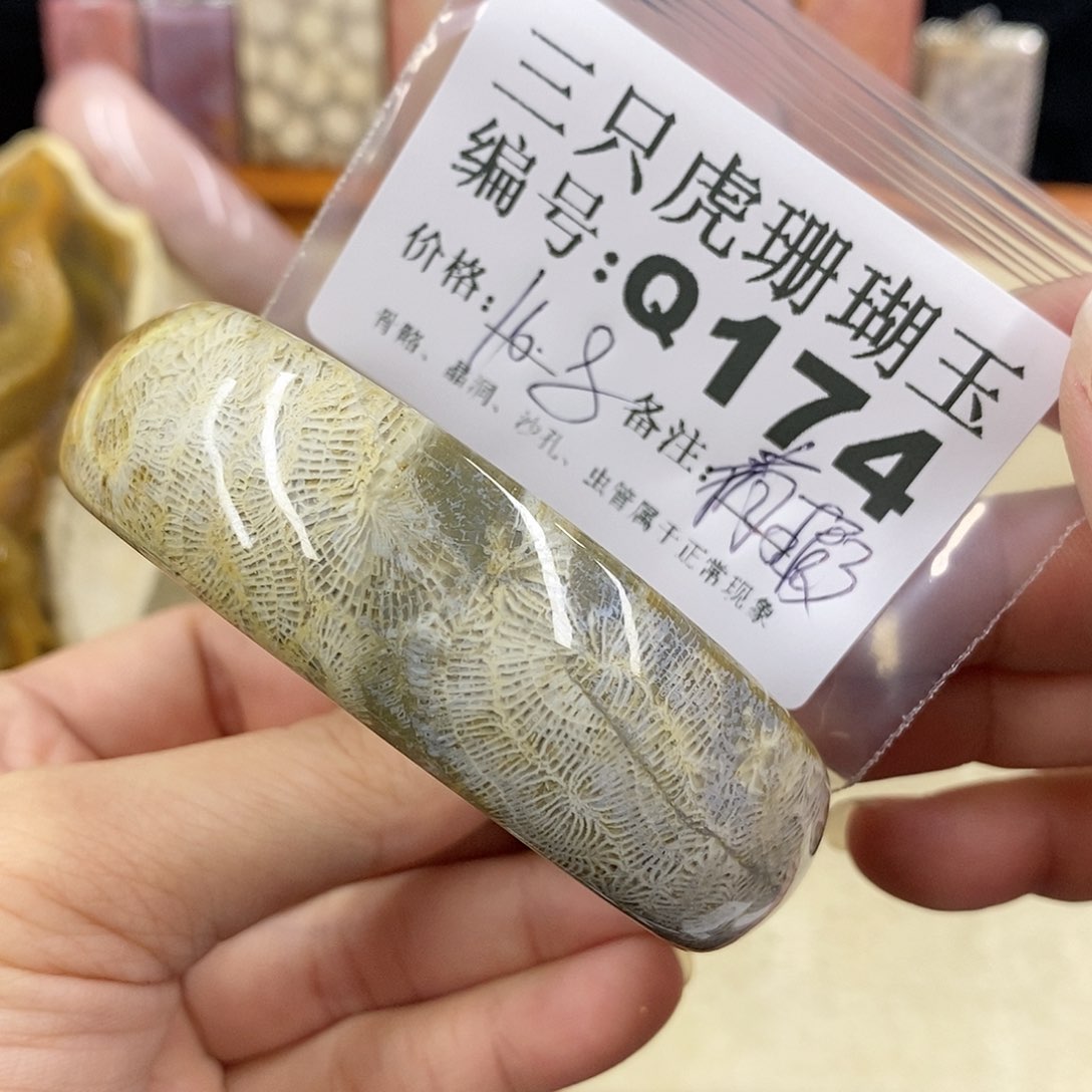 硅化珊瑚（珊瑚玉）1未镶嵌