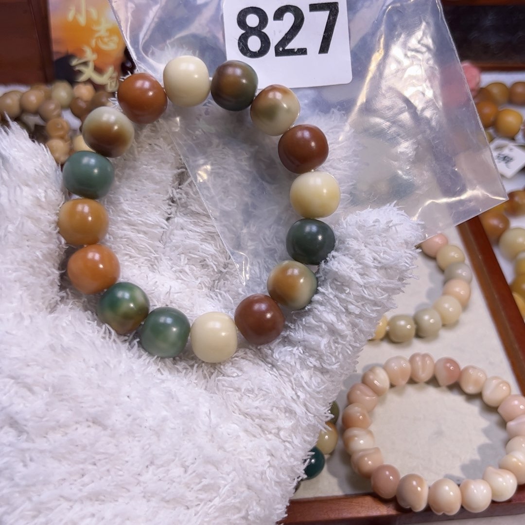 菩提根/象牙果吊坠王****827