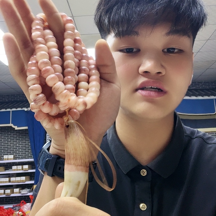 【闪购商品】手串/手链鹿骨B76