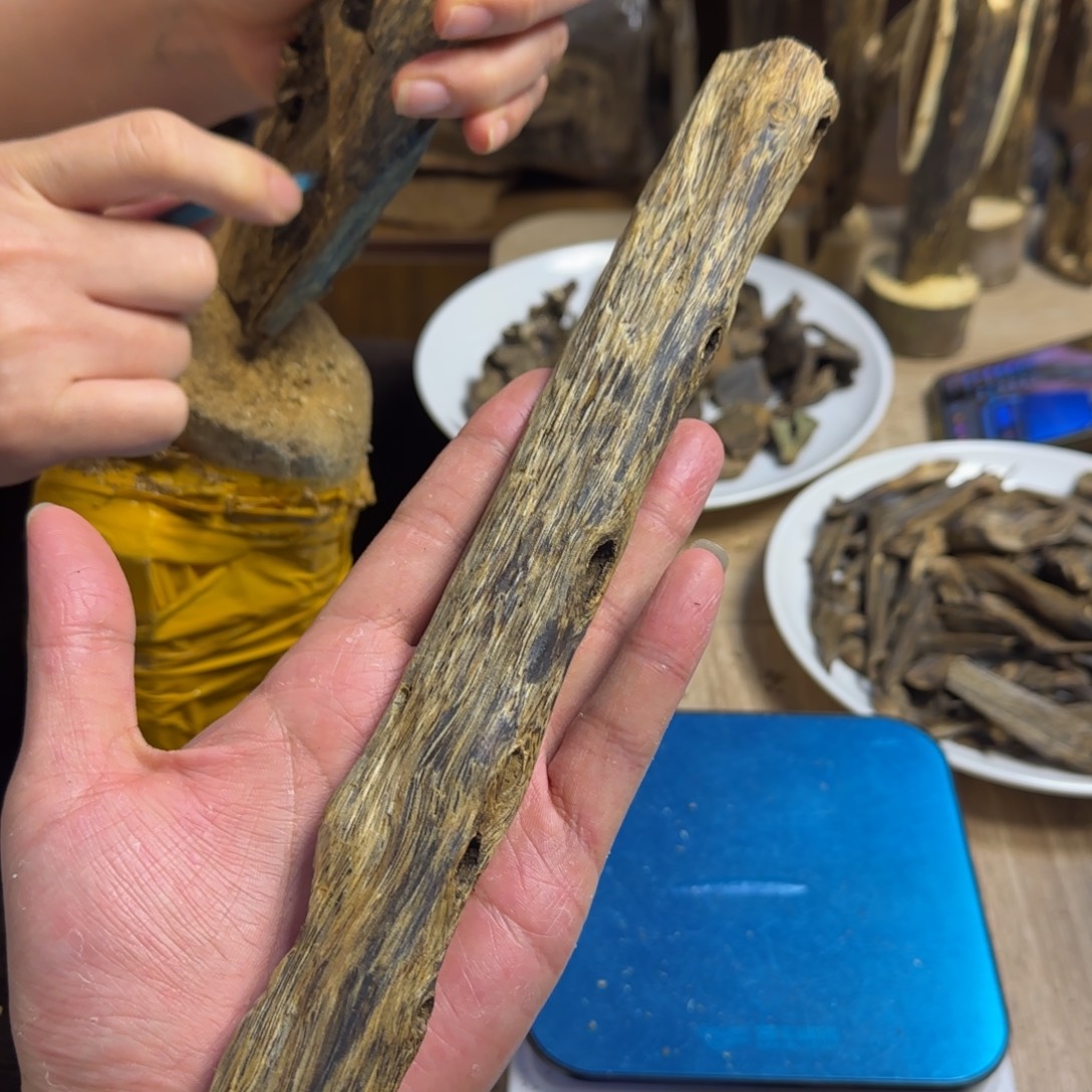 沉香碎屑沉香绿棋楠沉香原料虫漏58克