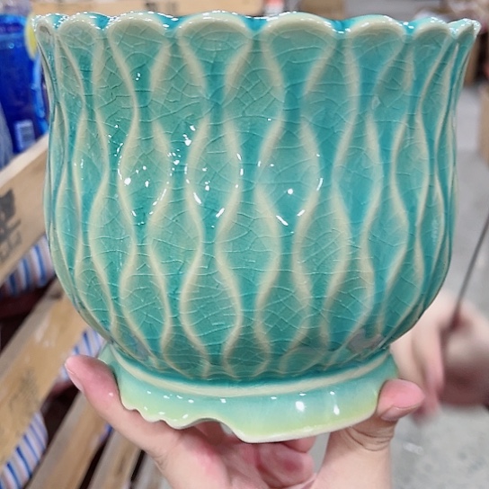 陶瓷花盆凑单福利满10元发货！