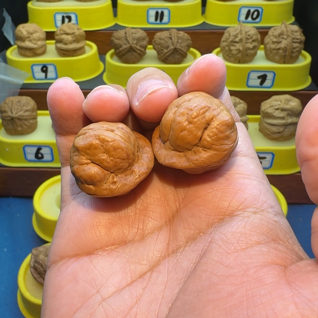 -***／把件桃核金刚鹦蟾