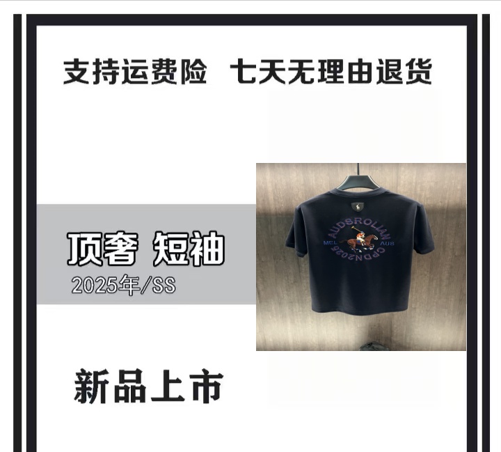 【阿刁专属L313】2025新品透气柔软舒适亲肤质感刺绣圆领短袖