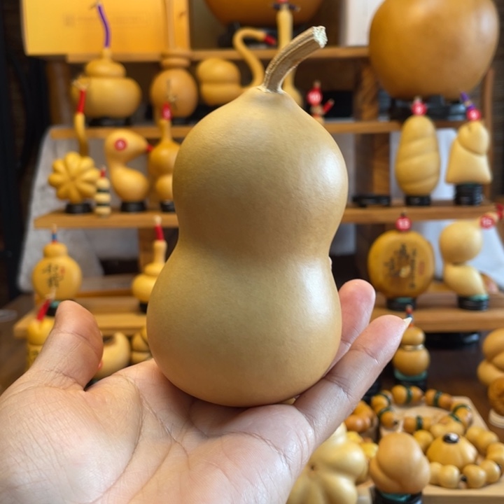 西***ง天然葫芦自然生长