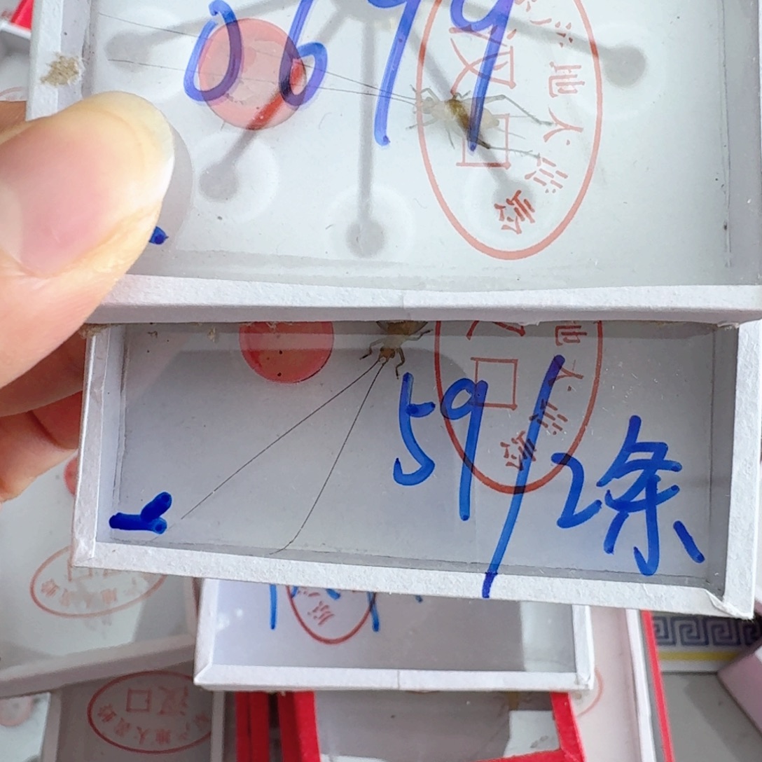 用***3蟋蟀蝈蝈你的电话怎么一直关机呢你不