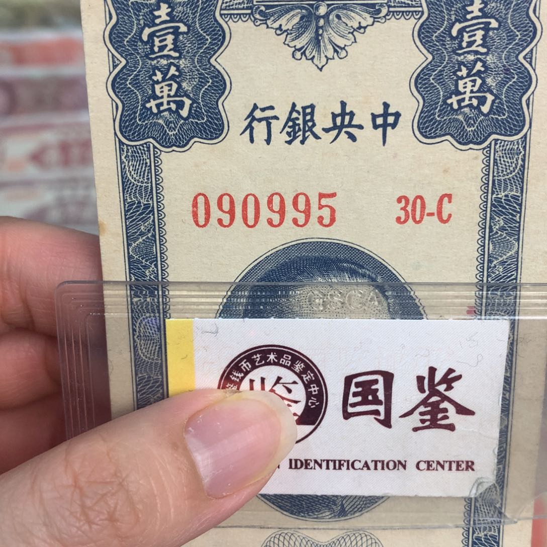 纸090995……………………………………