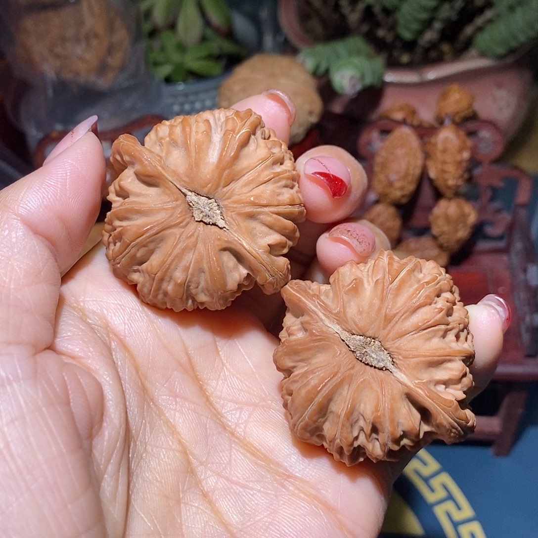 文玩核桃把件白狮子43全品