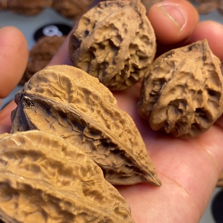 文玩核桃吊坠拿姐工艺3