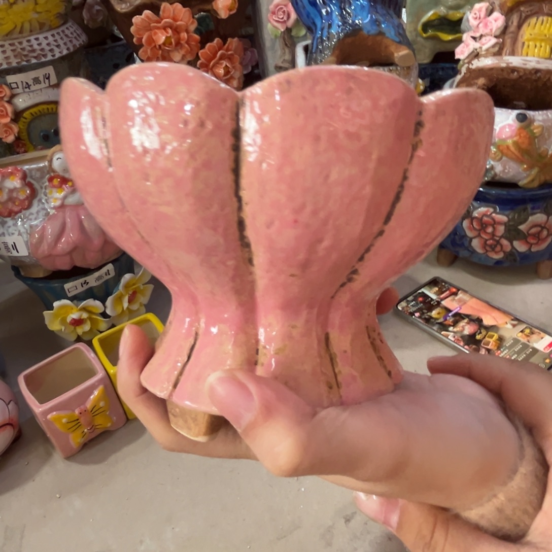 花盆满20米发货爱退款拉黑