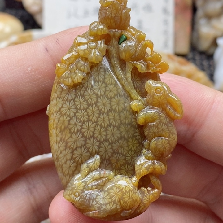 硅化珊瑚（珊瑚玉）颈饰未镶嵌