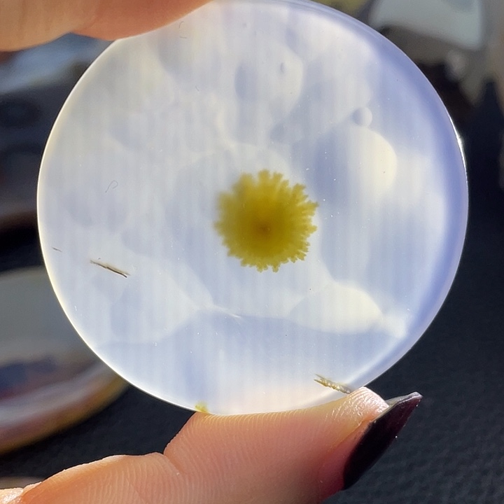 狼***子玛瑙/玉髓未镶嵌颈饰