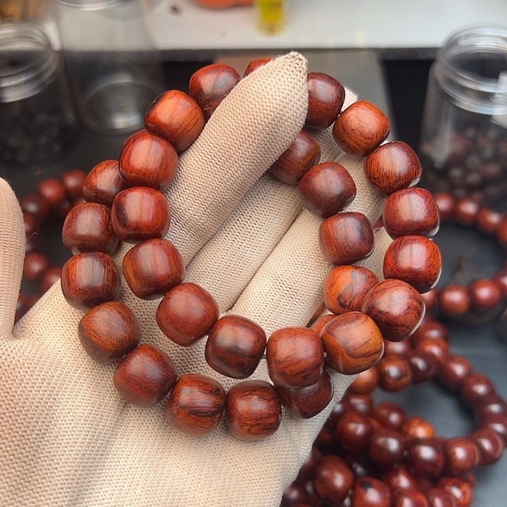 藤类海南红降木本树心油1314特价新人礼138