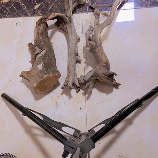 柏木1***风陈化到位坨坨疙瘩