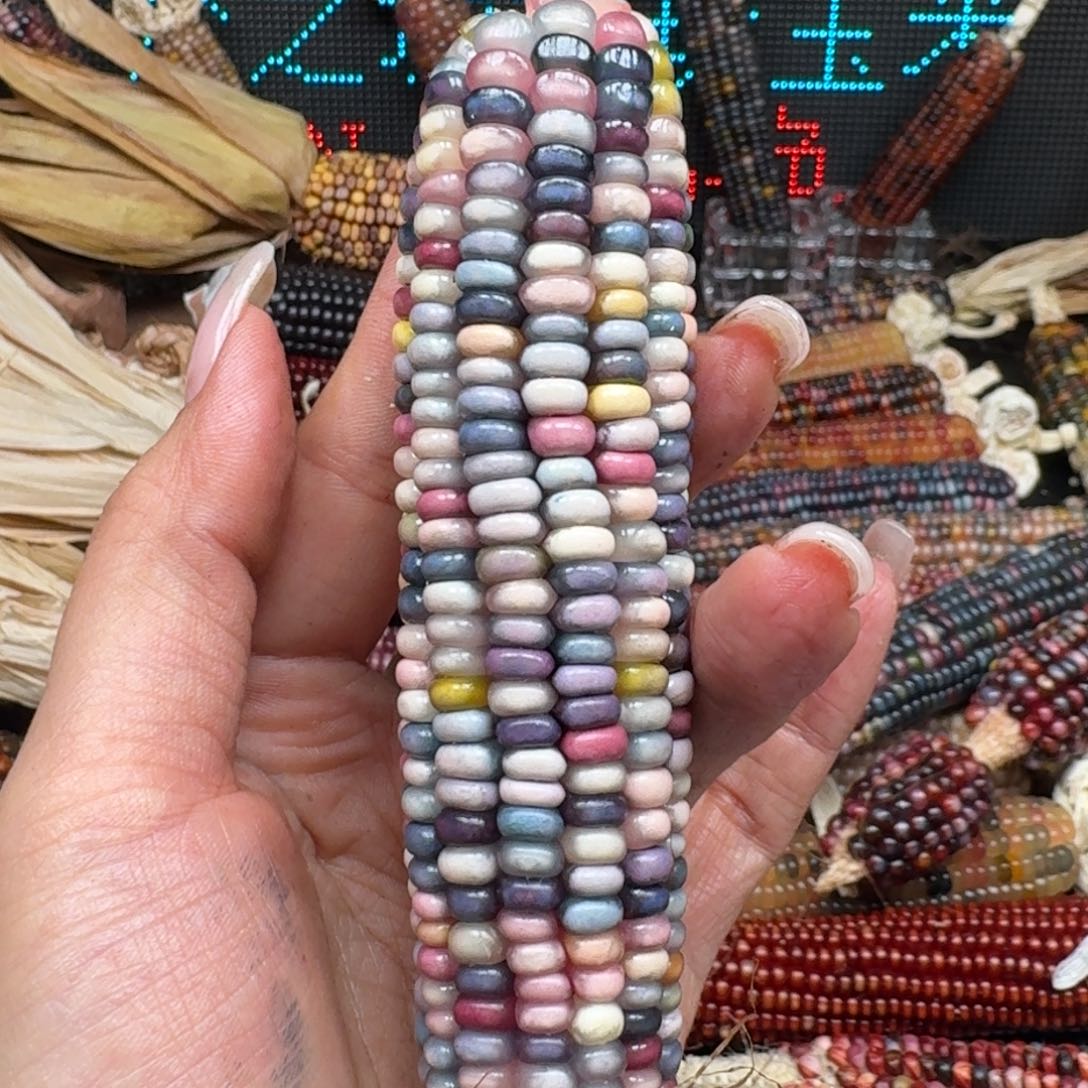 柏香籽/百香籽吊坠¥****1