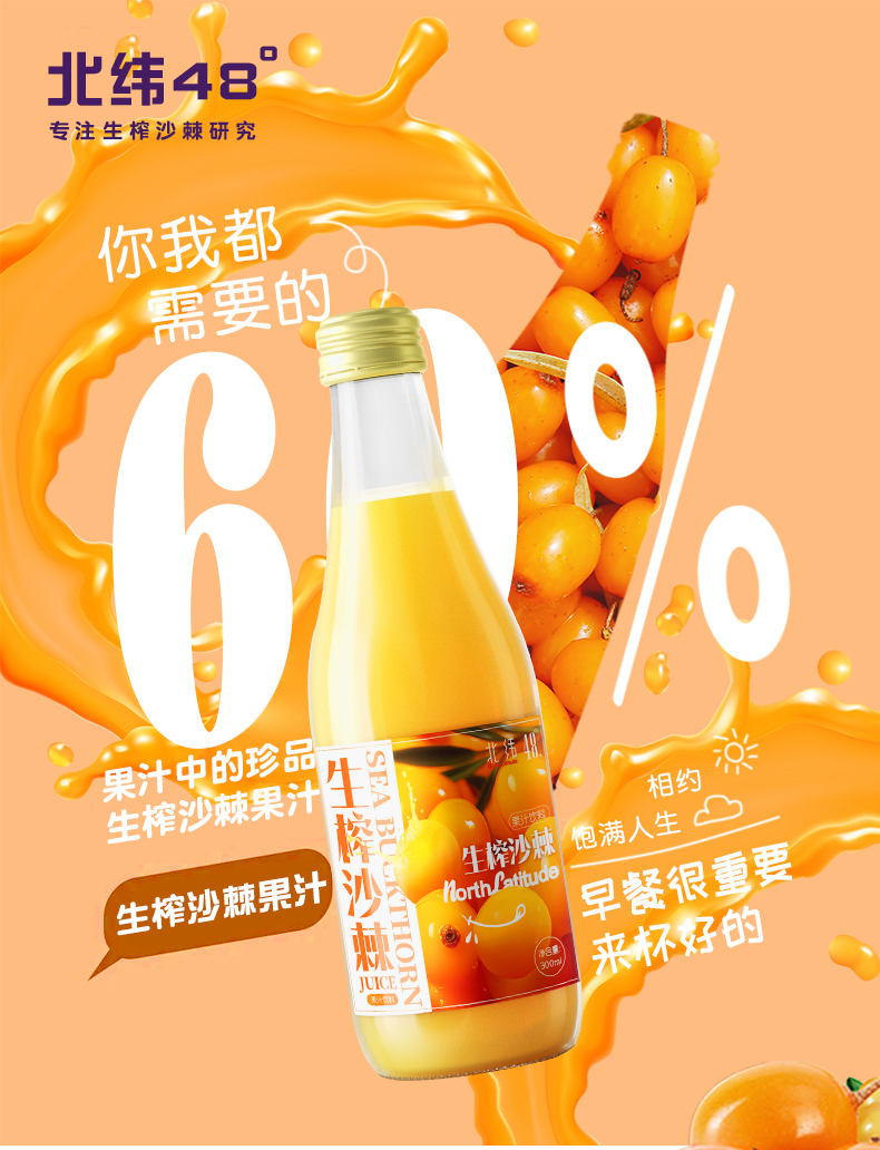 呼伦贝尔北纬48度大兴安岭生榨沙棘汁纯果汁饮料饮品瓶装顺丰包邮