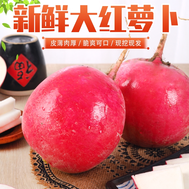 助农神百汽车共享菜园补贴红皮萝卜