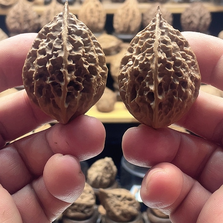 文玩核桃把件满天星精品树叶19