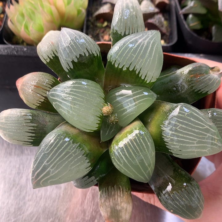 电路板克一物一拍