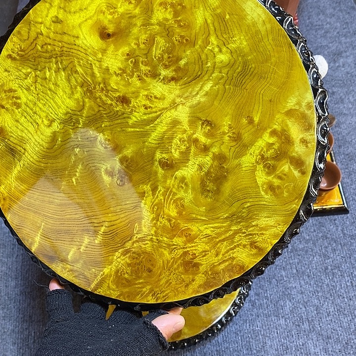 黄金樟特价不退换29