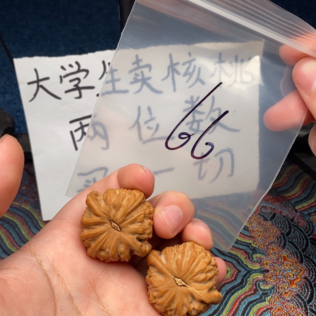 核桃哈哈哈哈哈哈哈哈哈哈哈哈哈