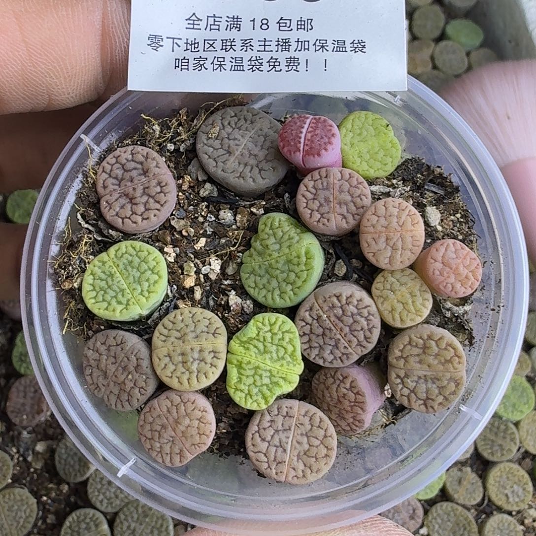 1303 哈哈哈哈哈哈哈哈哈哈哈哈