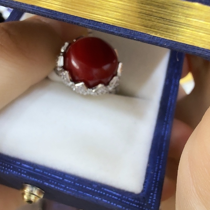 茶宠哈哈哈哈哈哈哈哈哈哈