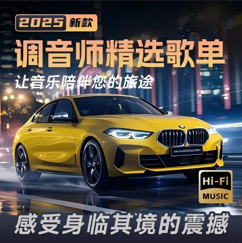 【姚哥专属】2025新升级正版授权 带歌词 真音源 流行歌曲流行 DJ