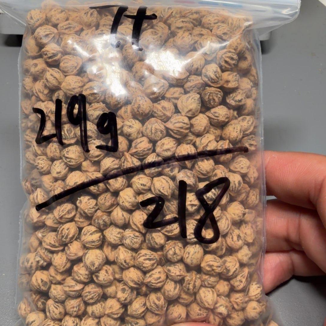 吊坠柏香籽/百香籽十****籽
